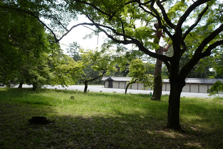 京都御苑-4（20210525）.jpg