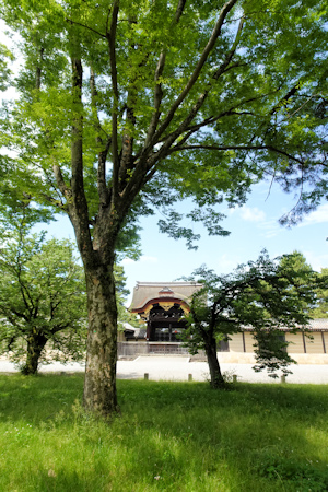 京都御苑-5（20210525）.jpg