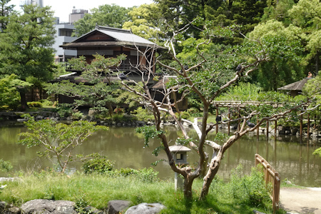 京都御苑-8（20210525）.jpg