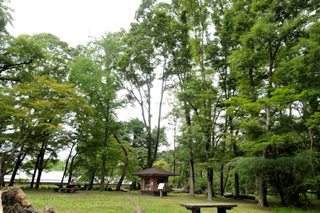 京都御苑の森-4（20210525）.jpg