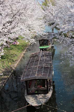 十石舟と桜-7（20180327）.jpg