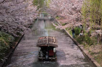 十石舟と桜まつり-5（20180401）.jpg