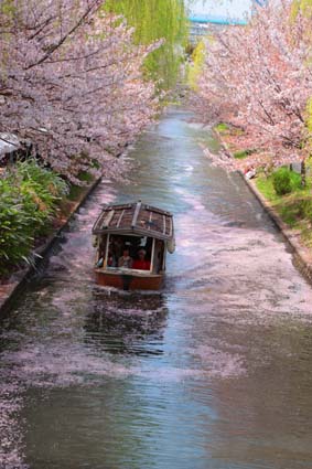 十石舟と桜まつり-7（20180401）.jpg