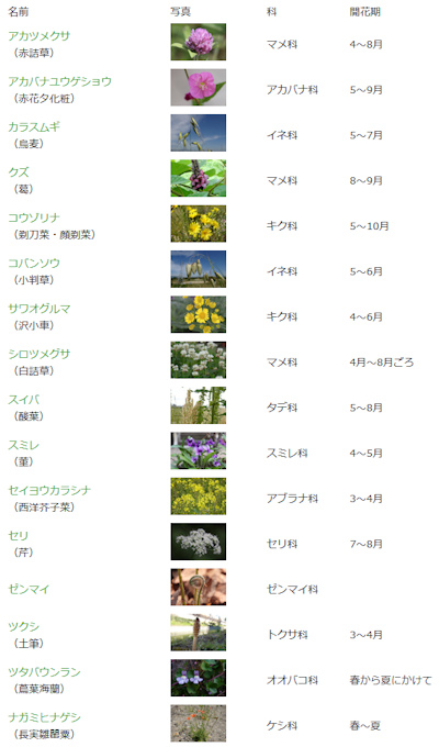 土手に咲く花表（20200516）.jpg