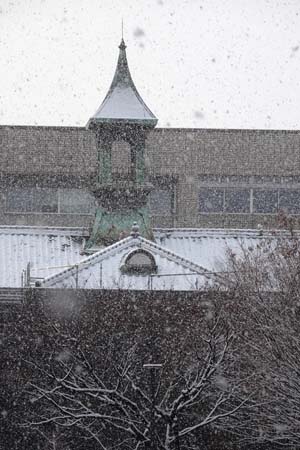 大学の雪景色-2（20240125）.jpg