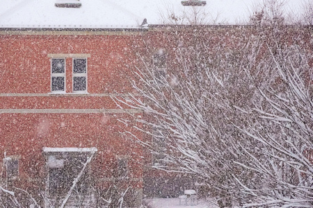 大学の雪景色-3（20230125）.jpg