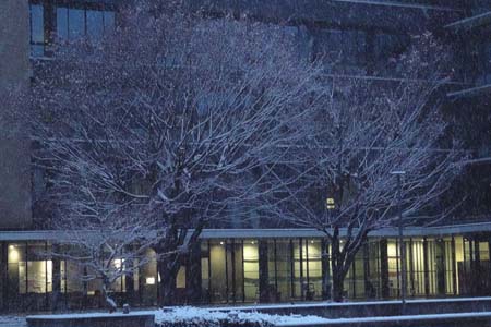 大学の雪景色-3（20240125）.jpg