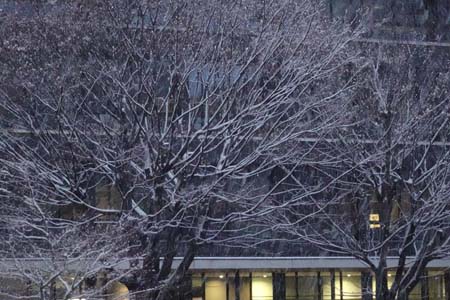 大学の雪景色-4（20240125）.jpg