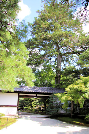 日本庭園-1（20220904）.jpg