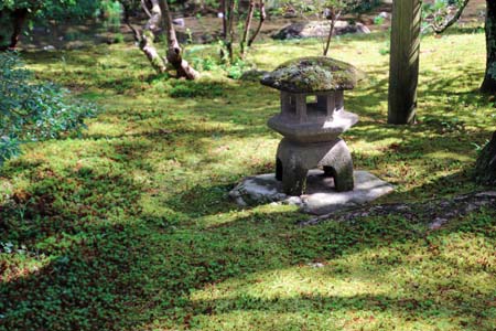 日本庭園-9（20220904）.jpg