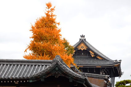 東本願寺とイチョウ-7（20191130）.jpg