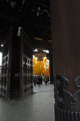 東本願寺とイチョウ-9（20191130）.jpg