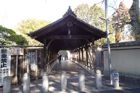 東福寺・臥雲橋-1（20240212）.jpg