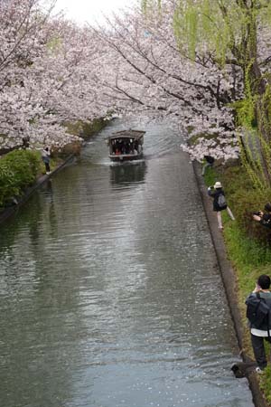桜と十石舟-2（20240404）.jpg