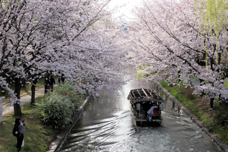 桜と十石舟-3（20220330）.jpg