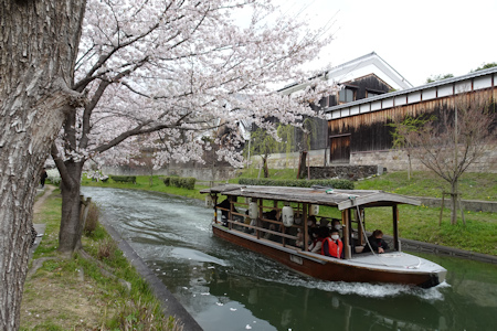 桜と十石舟-5（20220330）.jpg