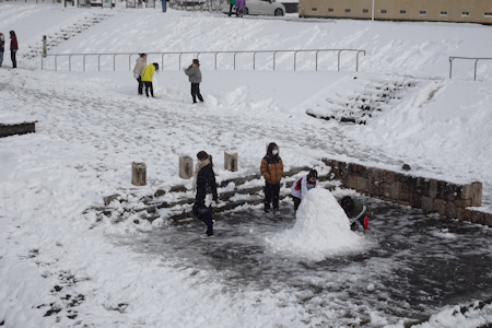 植物園の雪国-12（20230125）.jpg