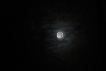満月-1（20231228）.jpg