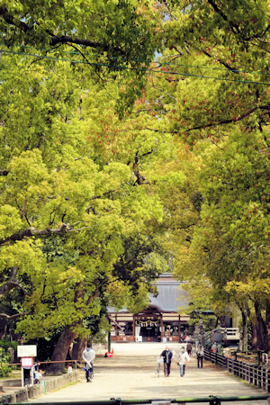 藤の森神社-1（20200424）.jpg