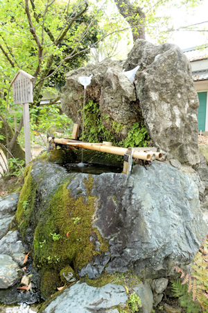 藤の森神社-4（20200424）.jpg