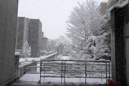 雪の大谷大学-7（20220121）.jpg
