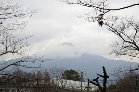 雲間の比叡山-1（20240129）.jpg